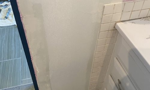 Bathroom Door During Project