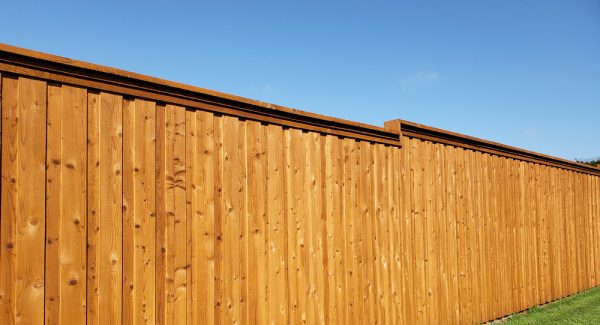 fence