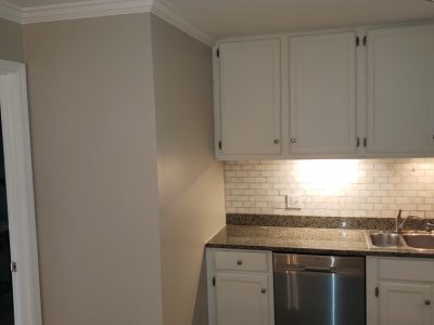 kitchen painting company in chicago il