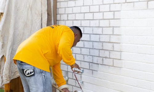 Paint Brick